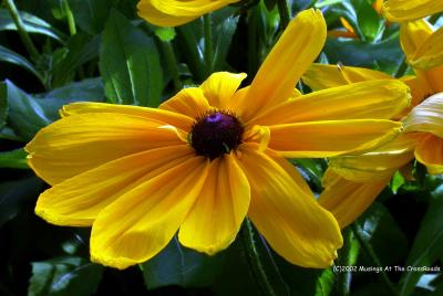 DSCN1029.jpg