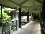 Treetop Restaurant Walkway