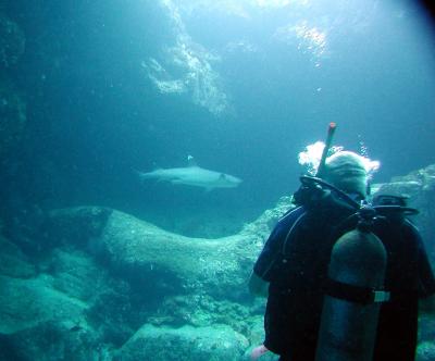 close encounter