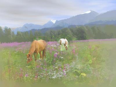 alpine_meadow.jpg