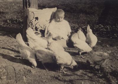 Baby With The Chickens