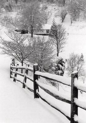 Snowy Fence