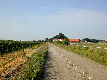 Guest House (2 of 2)