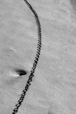 Just a shadow