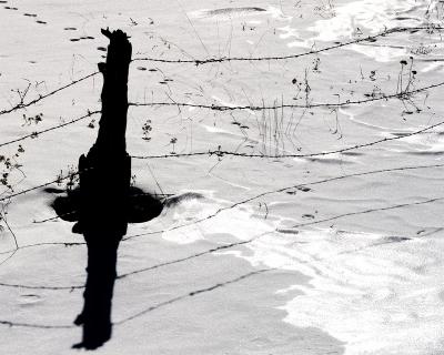 Yet another fence