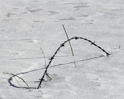 Wired snow