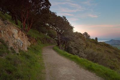 Mount Tam Trails12.jpg