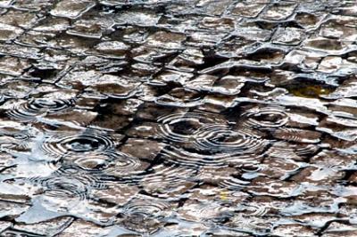 Rain effects.jpg