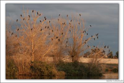 Sunset Light !!