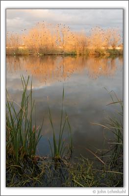 Sunset Light and Waters Edge