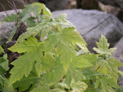 DSCN4842.JPG