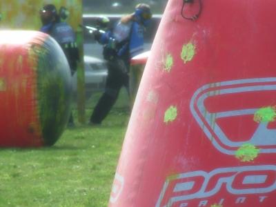 u12/rgunn4/medium/41555653.nwps2104.jpg