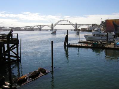 Newport