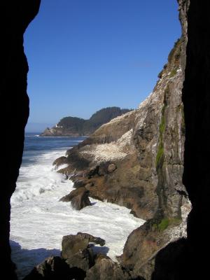 Hecta Head from Sea Lion Cave