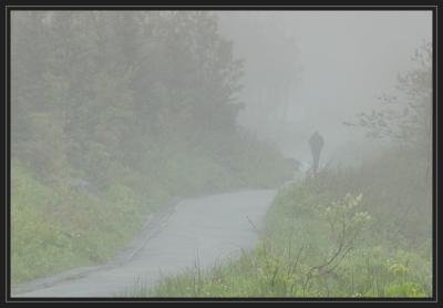 JPG SB a fog walker P6042464.jpg