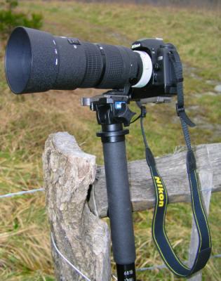 JPG S Monopod L PC297778.jpg