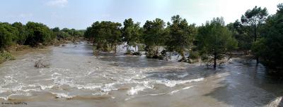 Medina River at Castroville