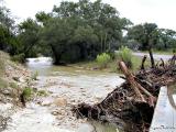 Creek Along Park 37