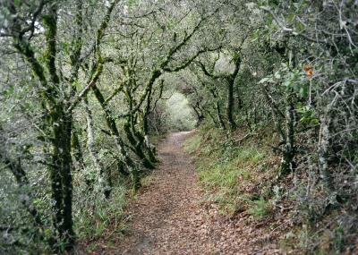 matt davis trail Marin County