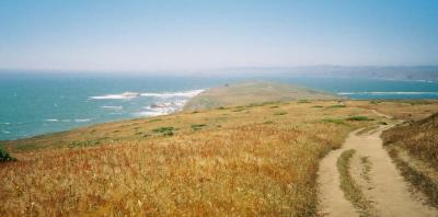 Pt Reyes