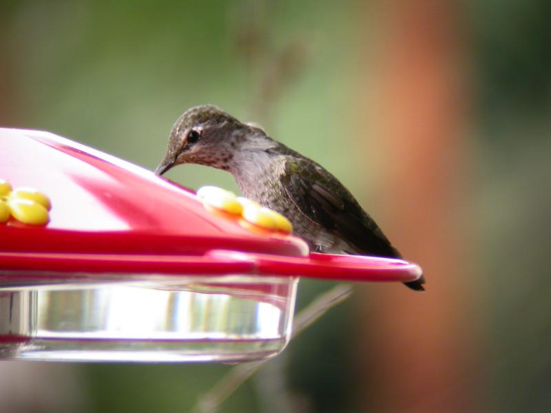 DSCN4028.JPG