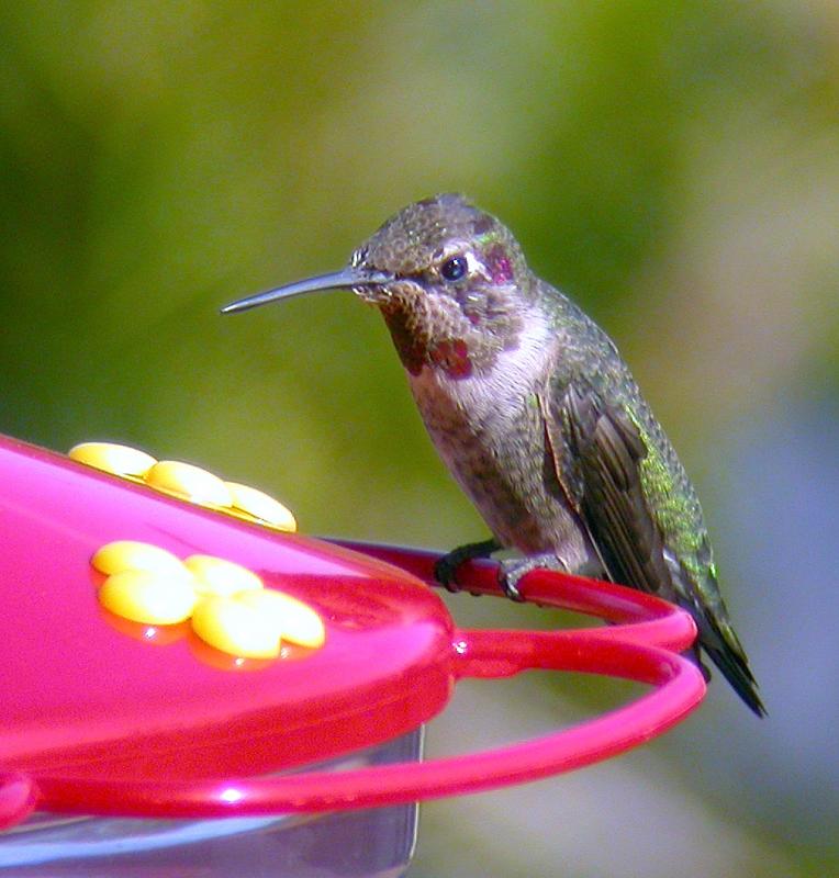 DSCN3172.JPG