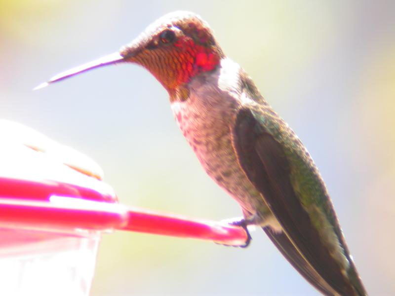 DSCN4178.JPG