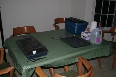 Planting setup on dining room table