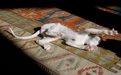 Well, actually, I am sunbathing ;-)