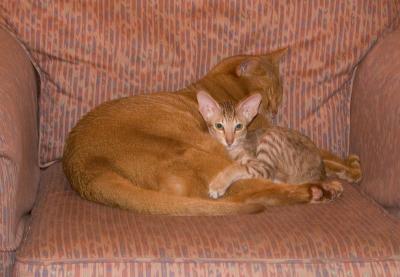 Snuggly.
