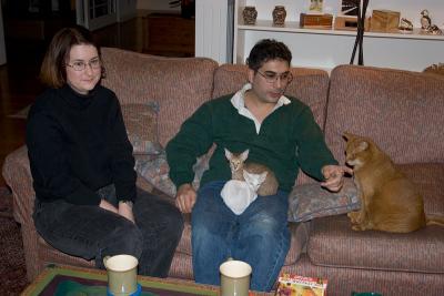 Visitors drop by for kitten contact and not apple pie!