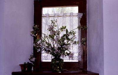 The window - 2004 - by Pietrolucci R.