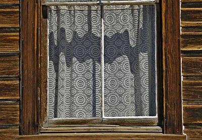 Window lace
