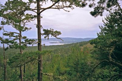 carmel from ridge road