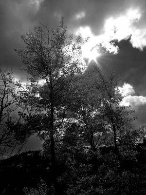 DSCN2479b.jpg
