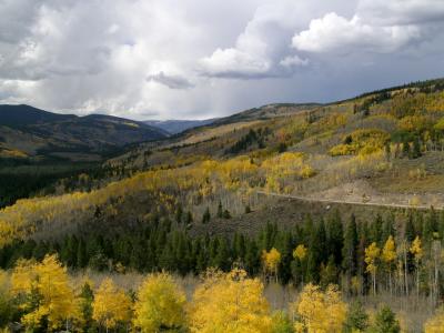 DSCN2594a.jpg