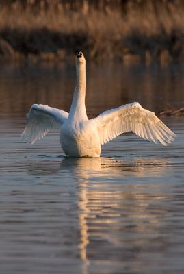 IMG_0302pf.jpg