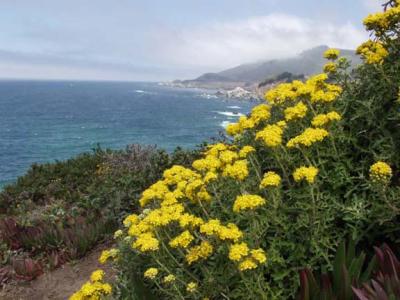 Somewhere between Big Sur and Carmel