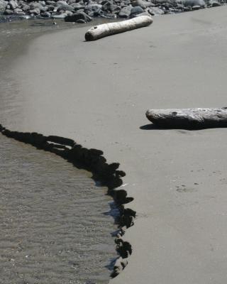 Tide going out.jpg