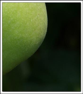 aP7061520 copy.jpg
