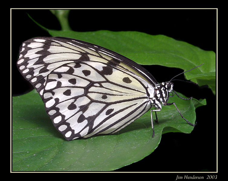 aP8022876.jpg