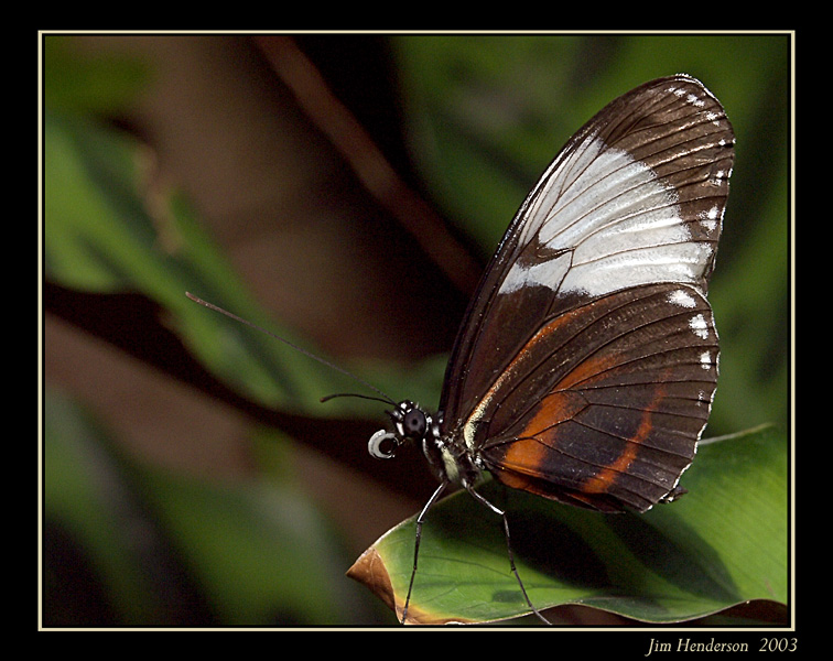 aP8022908.jpg