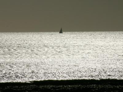 UN CONTRE-JOUR