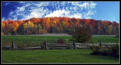 Landscape in colors