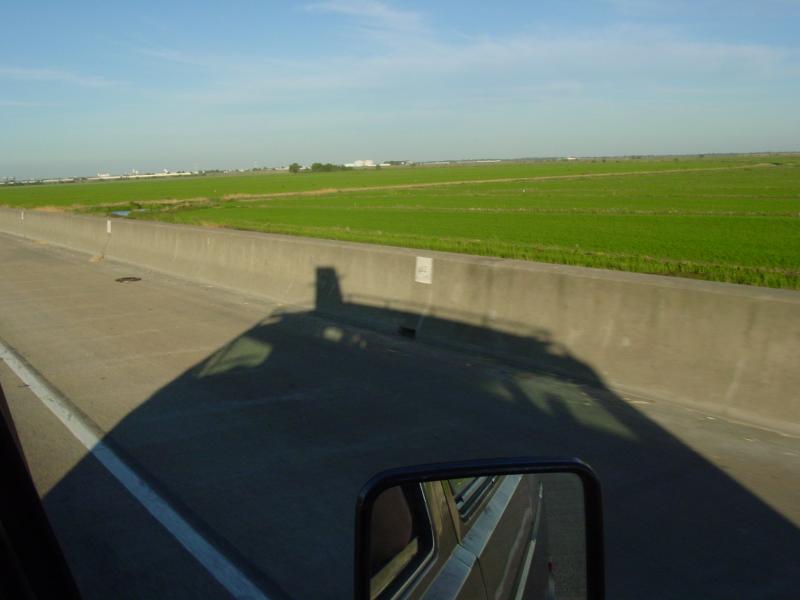 Ping Road Shadow 1.jpg