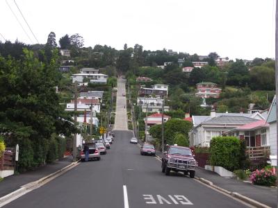 Baldwin Street, the world's steepest street