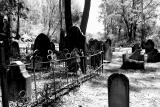 Early settlers graveyard