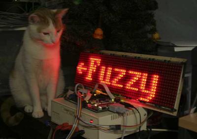 fuzzy-sign.jpg