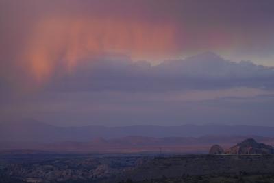 Pink Rain