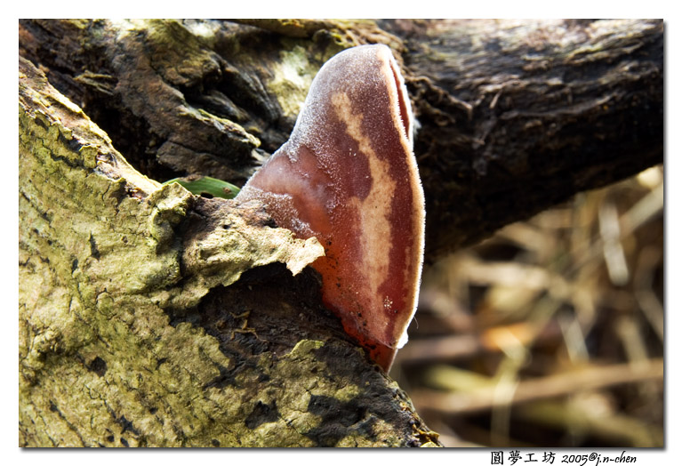 DSC_1343.jpg